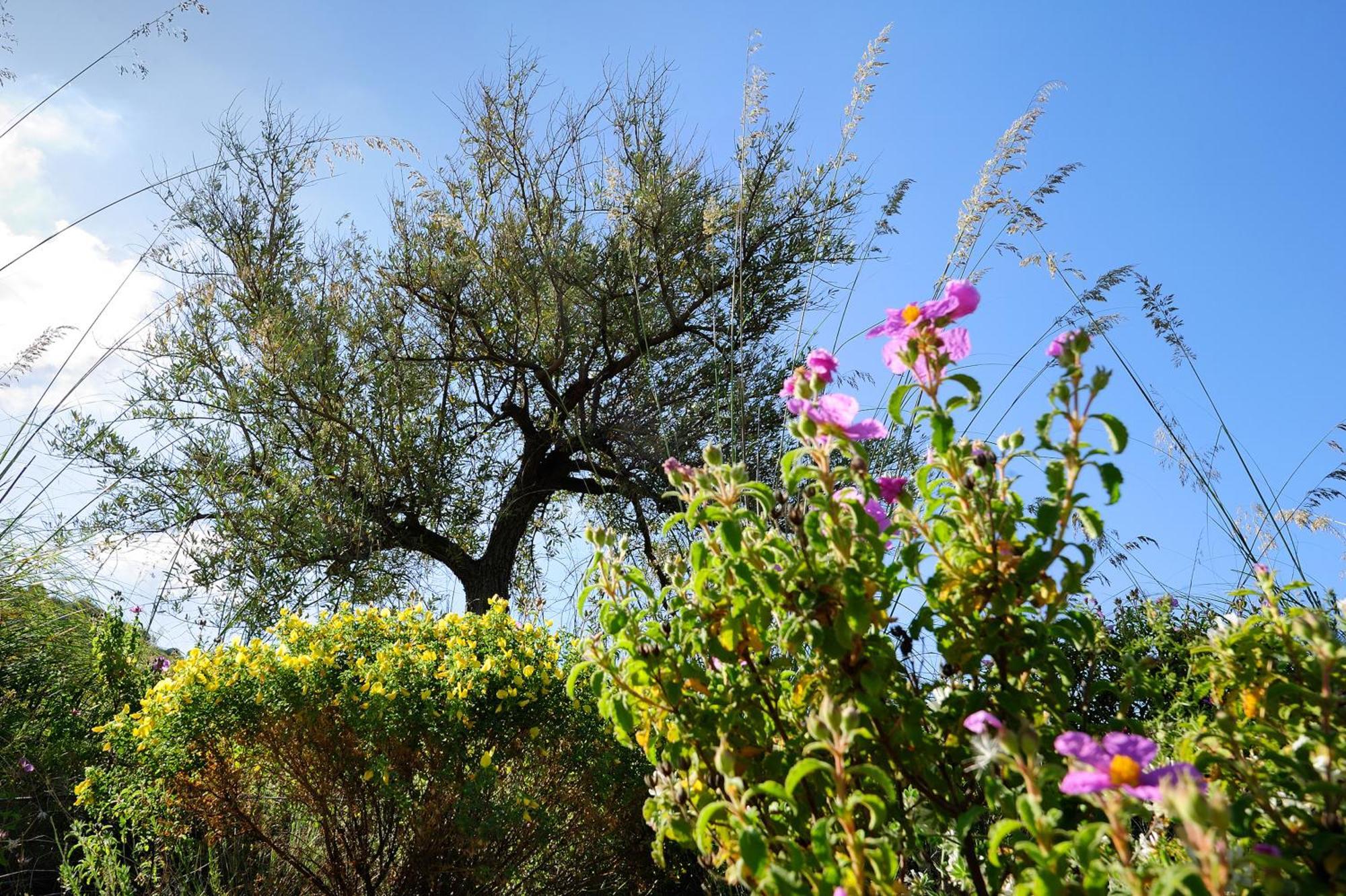Kallikoros Country Resort & Spa Noto Bagian luar foto