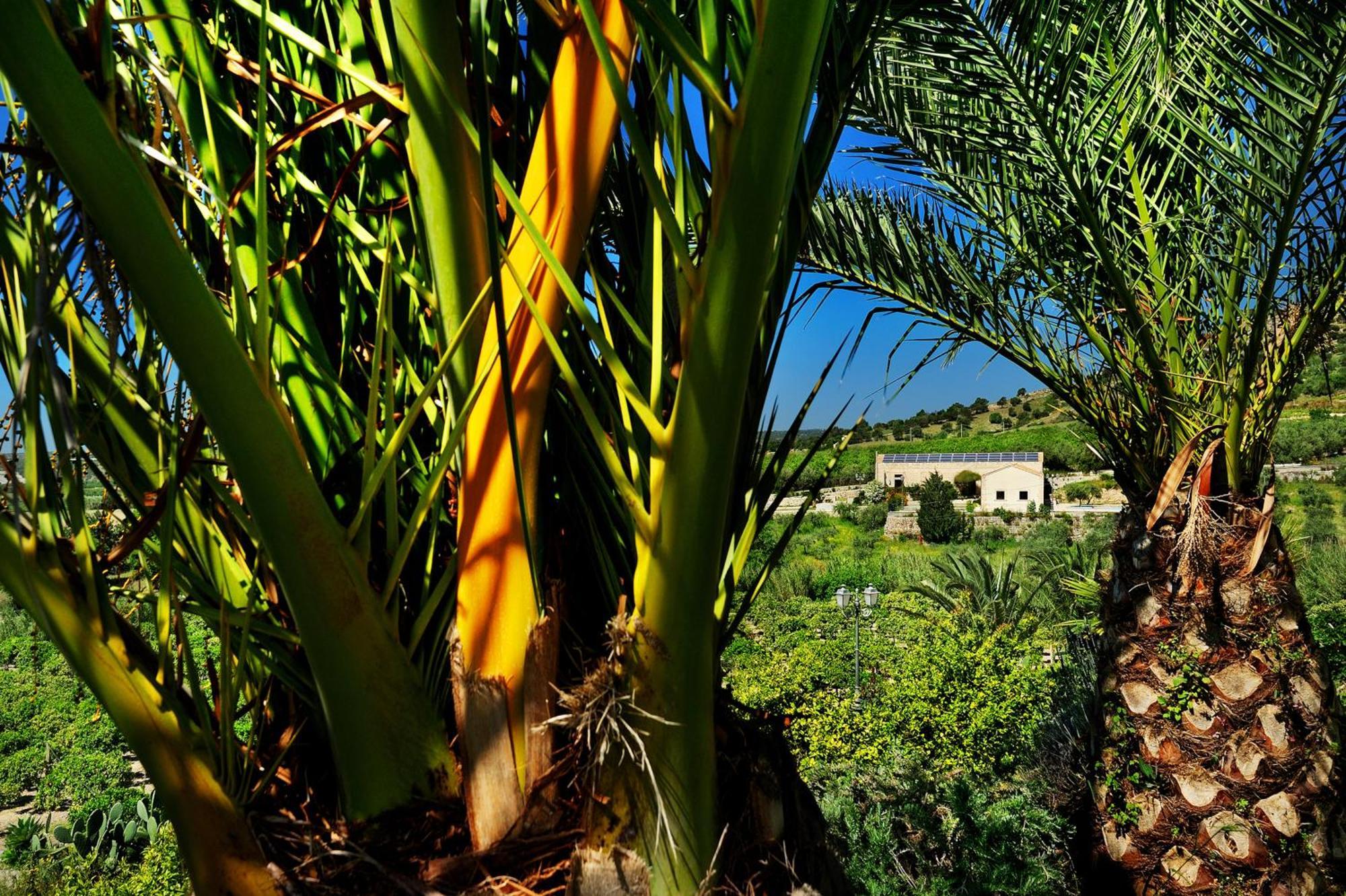 Kallikoros Country Resort & Spa Noto Bagian luar foto