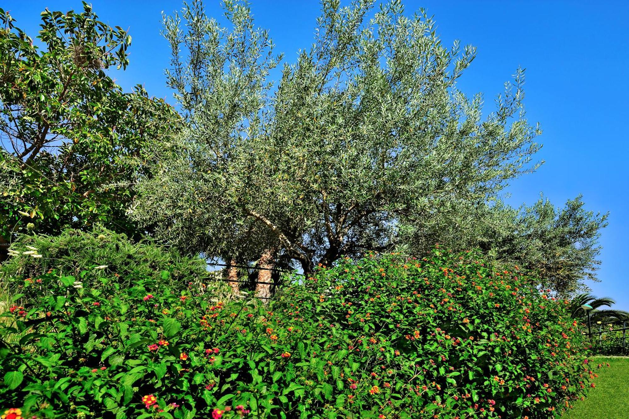 Kallikoros Country Resort & Spa Noto Bagian luar foto
