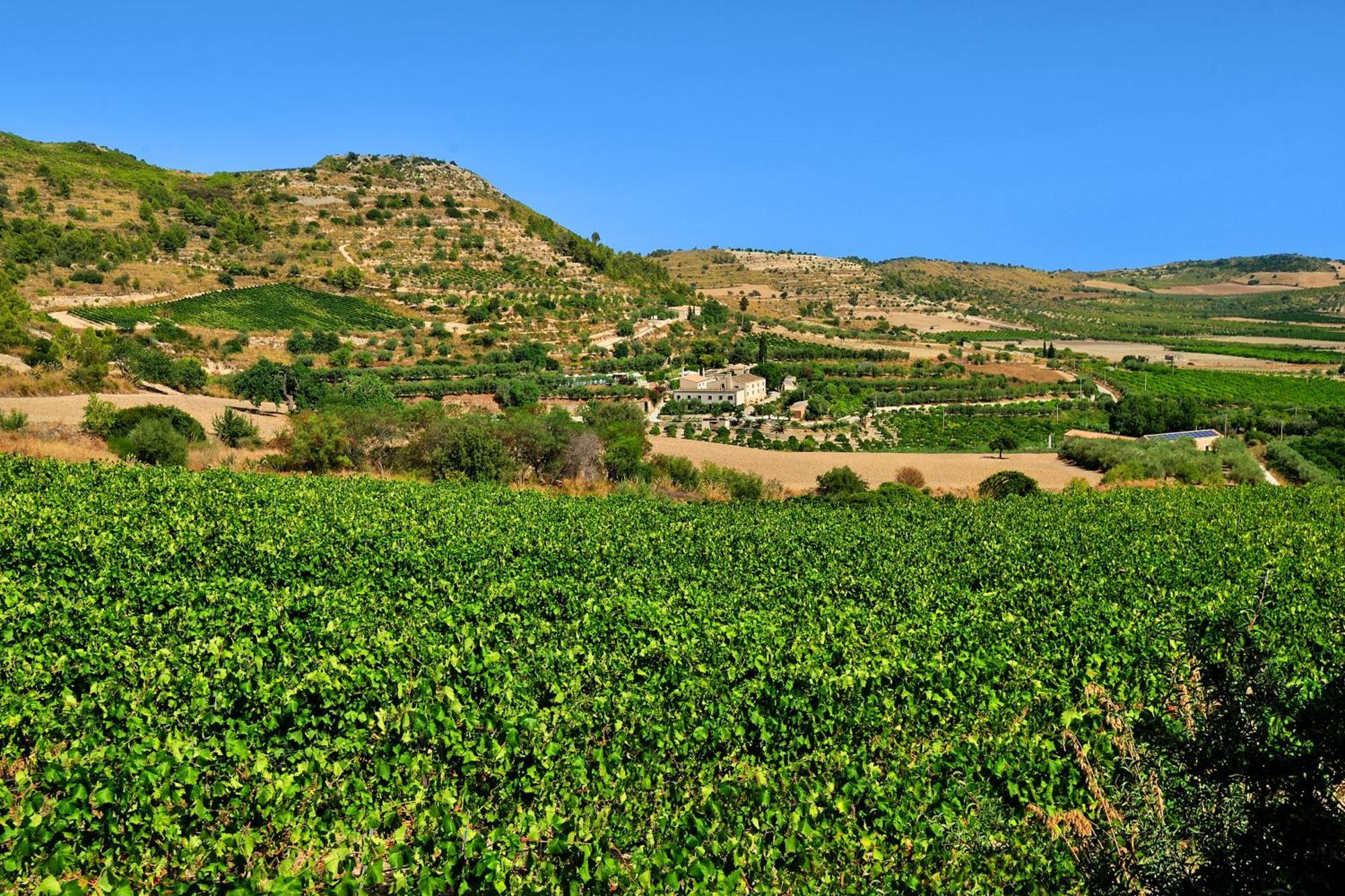 Kallikoros Country Resort & Spa Noto Bagian luar foto