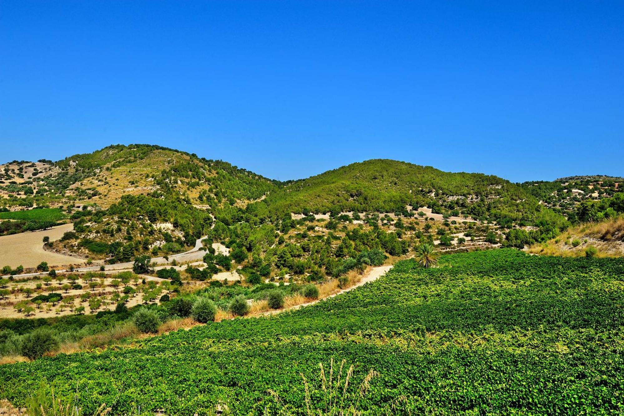 Kallikoros Country Resort & Spa Noto Bagian luar foto