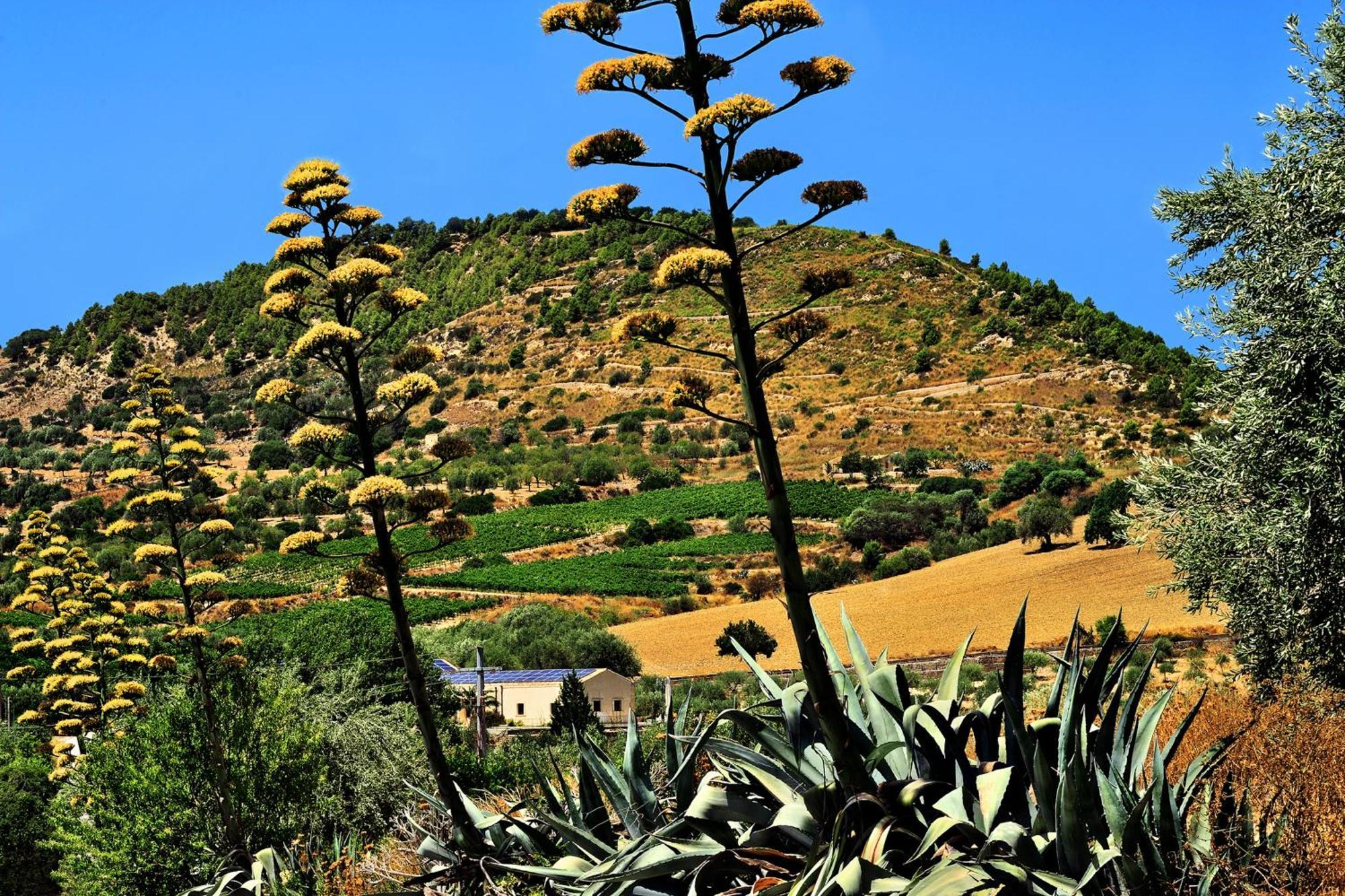 Kallikoros Country Resort & Spa Noto Bagian luar foto