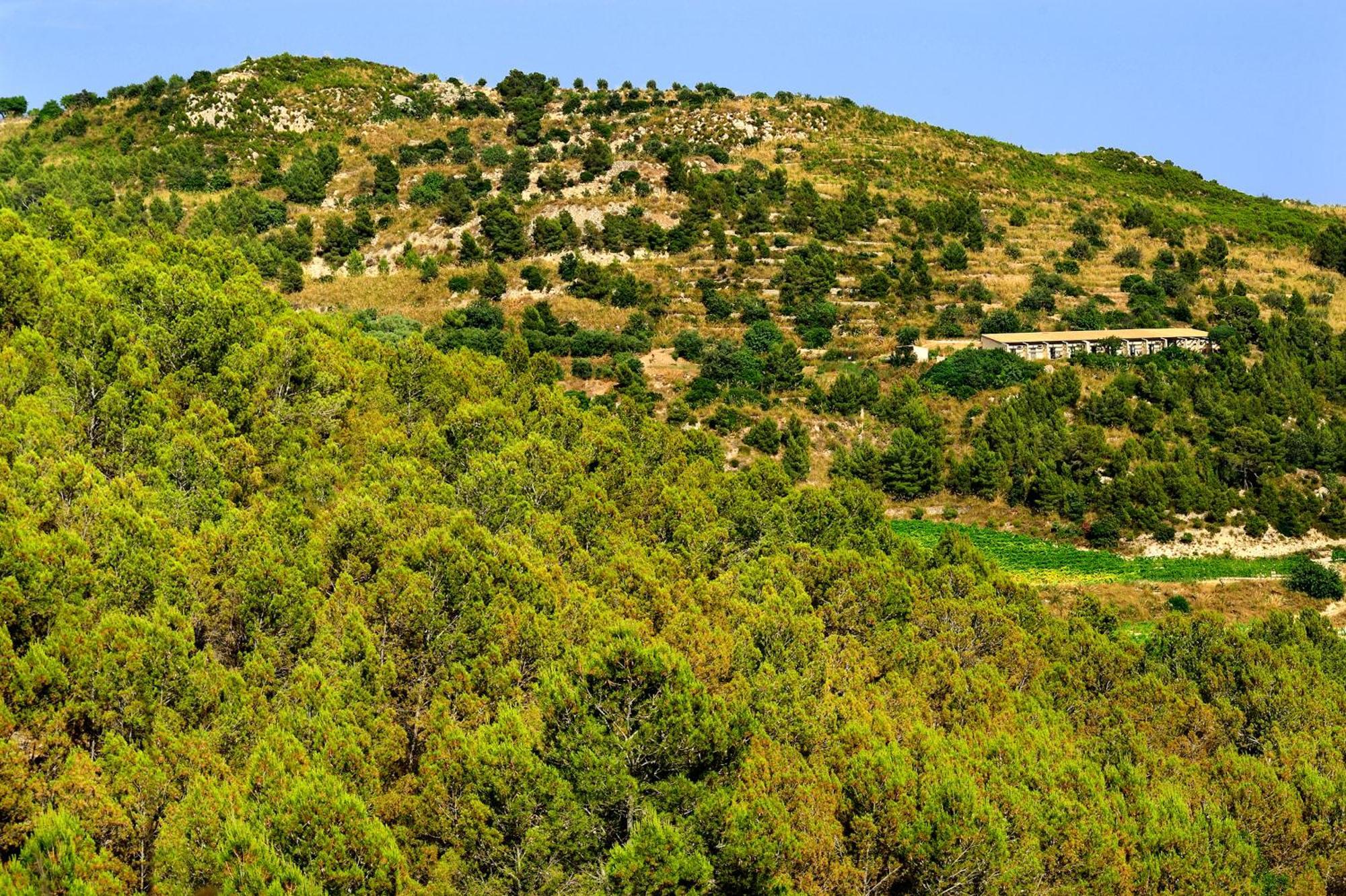 Kallikoros Country Resort & Spa Noto Bagian luar foto