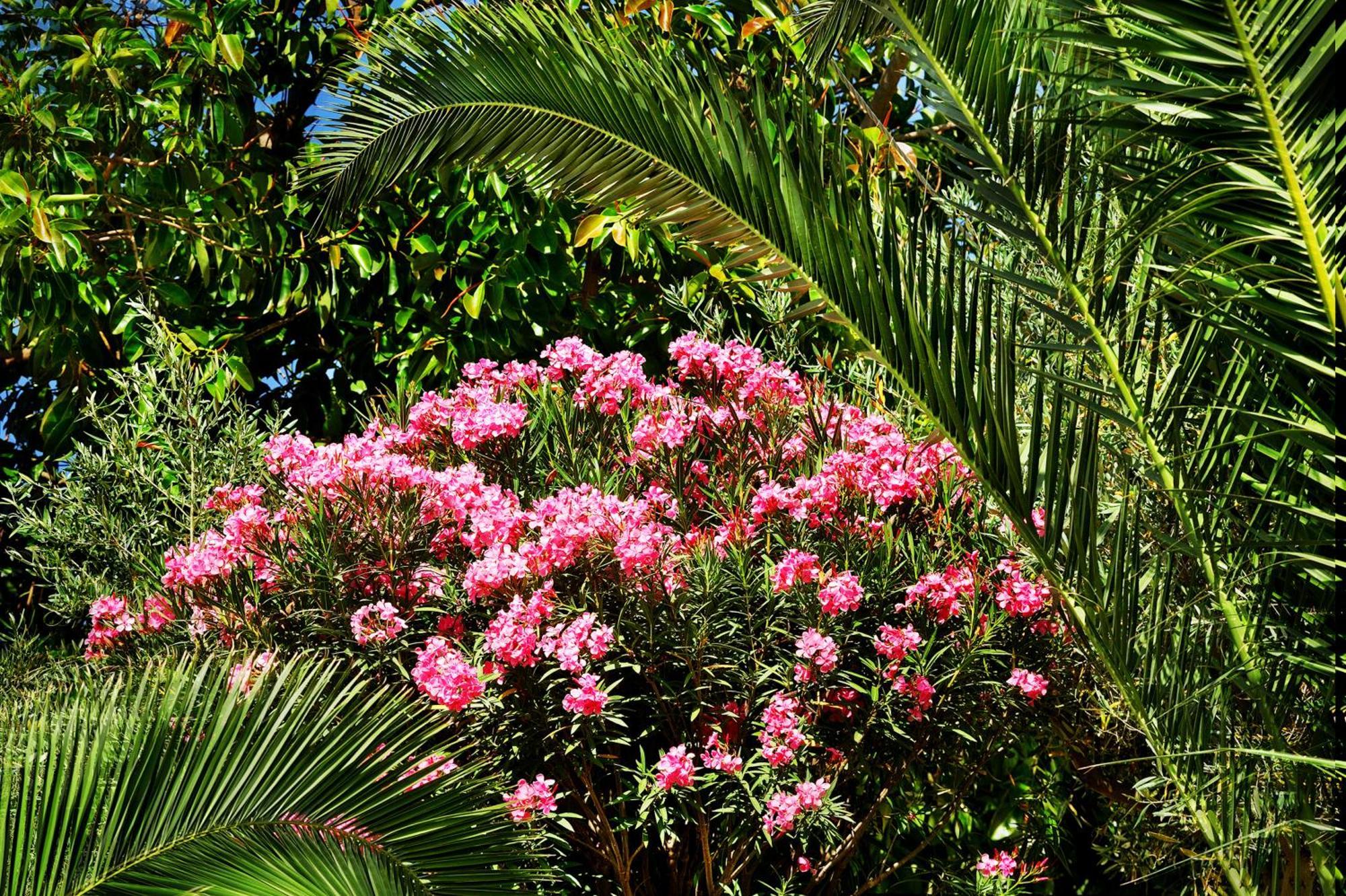 Kallikoros Country Resort & Spa Noto Bagian luar foto