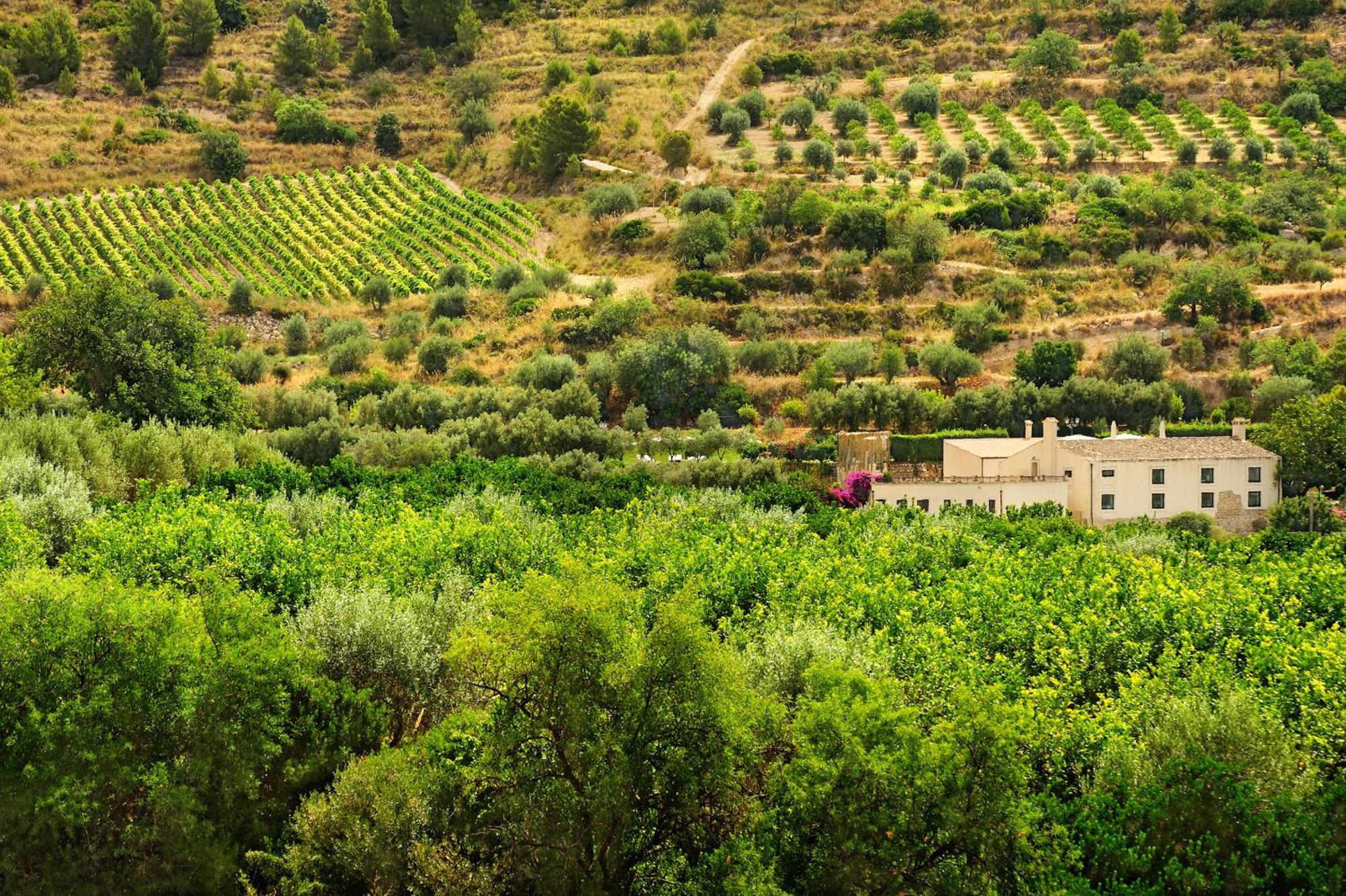 Kallikoros Country Resort & Spa Noto Bagian luar foto