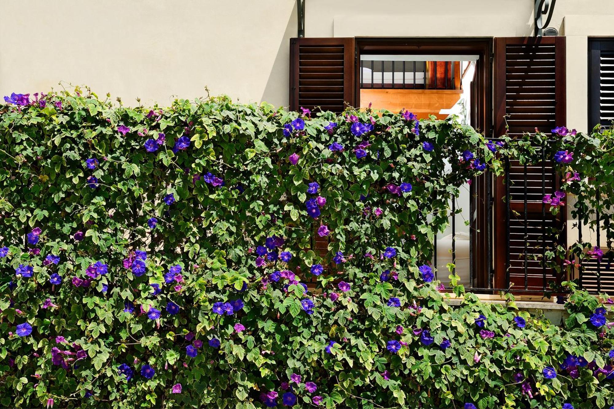 Kallikoros Country Resort & Spa Noto Bagian luar foto