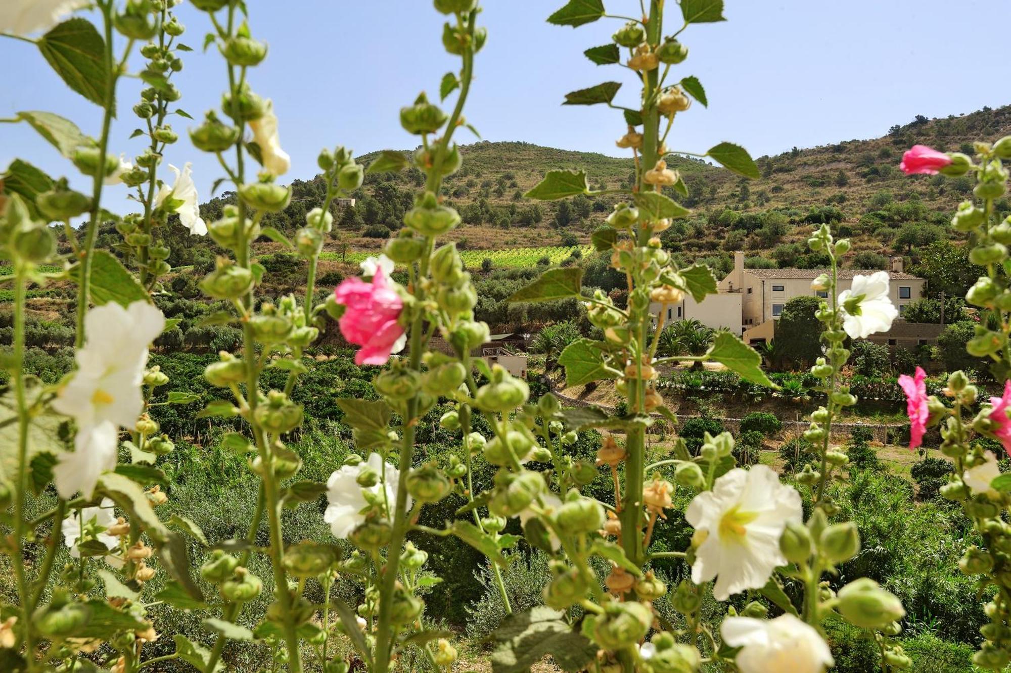 Kallikoros Country Resort & Spa Noto Bagian luar foto