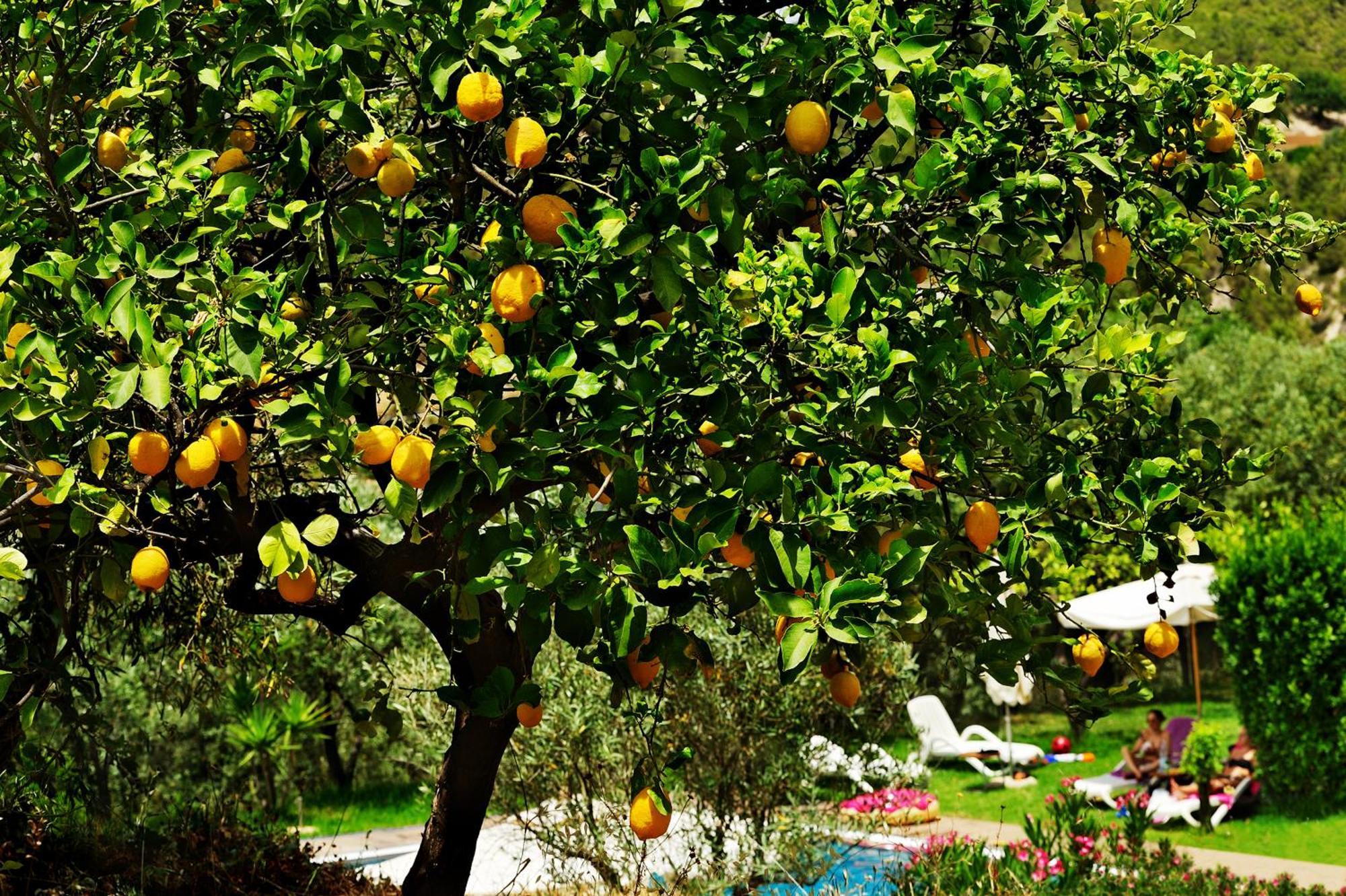 Kallikoros Country Resort & Spa Noto Bagian luar foto