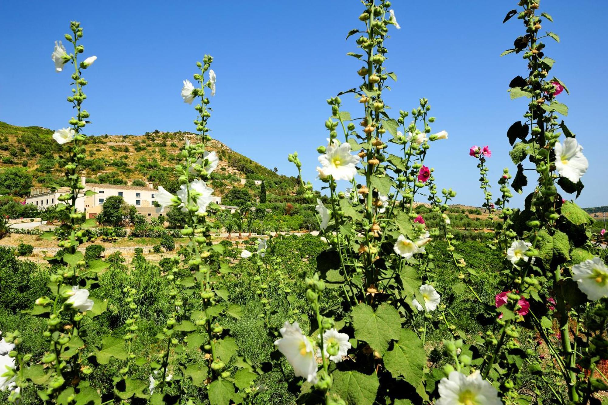Kallikoros Country Resort & Spa Noto Bagian luar foto