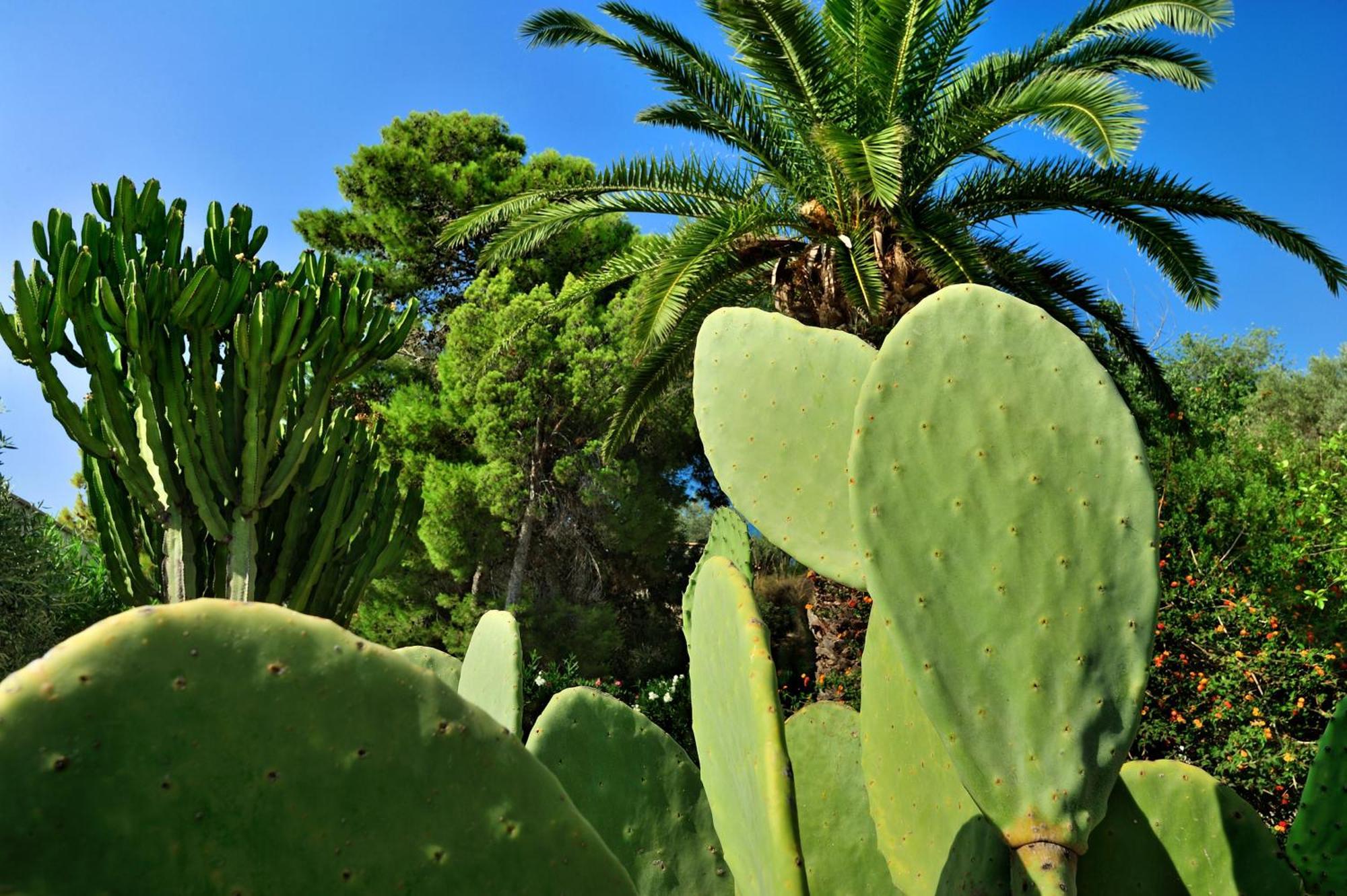 Kallikoros Country Resort & Spa Noto Bagian luar foto