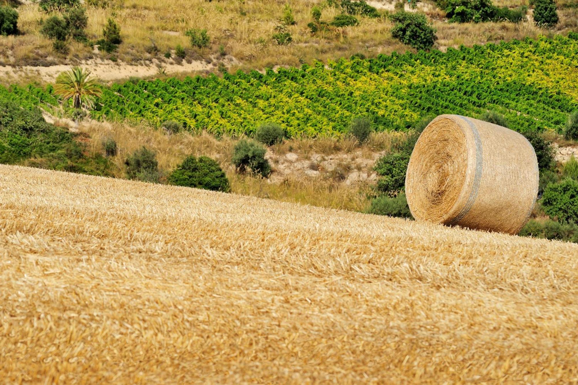Kallikoros Country Resort & Spa Noto Bagian luar foto